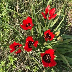 Meet your Posher, Einat